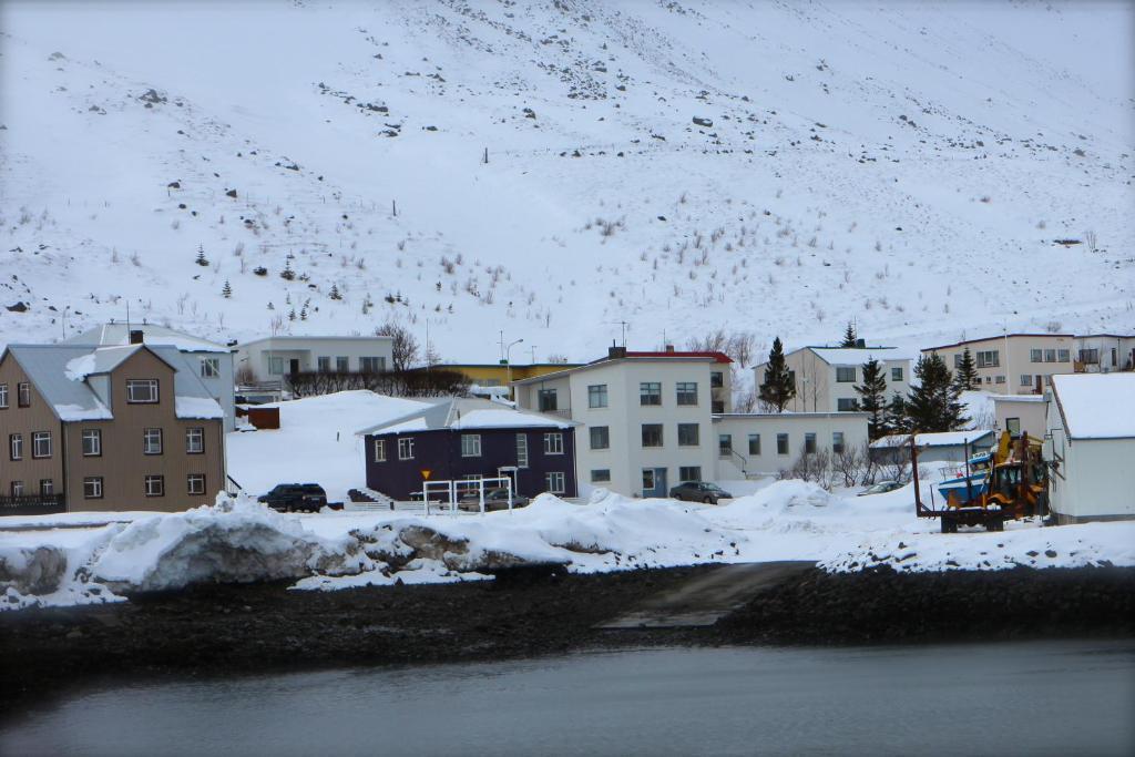 Comfy Guesthouse Westfjords Sudureyri Eksteriør billede