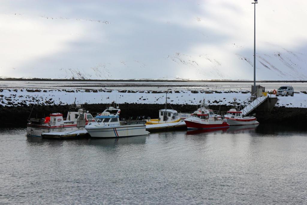 Comfy Guesthouse Westfjords Sudureyri Eksteriør billede